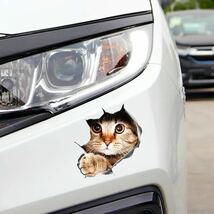 車用 シール ステッカー カー用品 車用品 かわいい猫　面白い猫_画像4