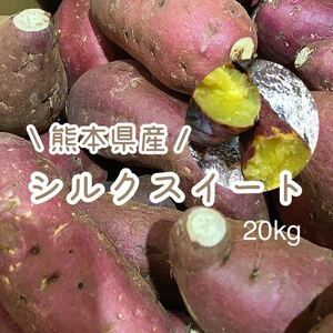 送料無料！！ 訳あり シルクスイート 20kg 熊本県産