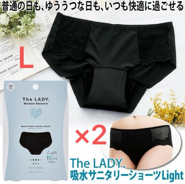 ☆新品未使用TheLADY吸水サニタリーショーツ☆L 2枚セット