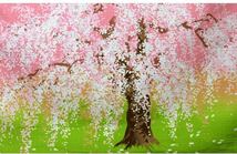 タペストリー 壁掛け 掛軸 桜 さくら 春_画像3