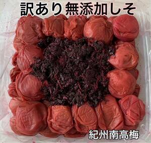 【送料無料】 紀州南高梅 訳あり つぶれ 無添加しそ 1kg しそ漬け 梅干し