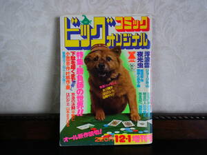 14，ビッグコミック　オリジナル　12・1　増刊号　昭和51年　12/1　オール新作読切！