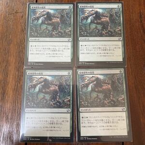 MTG 日本語 変異原性の成長 4枚①