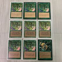 MTG　緑 カード 64枚　森の知恵（4ED）・極楽鳥（3ED） など_画像9