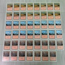 MTG　3ED リバイズド 基本土地 204枚セット　平地・島・沼・山・森　マジックザギャザリング_画像5