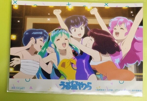 うる星やつらノイタミナカフェ特典ブロマイド 友1クィーンコンテスト