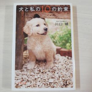 犬と私の１０の約束 （文春文庫　か５２－１） 川口晴／著