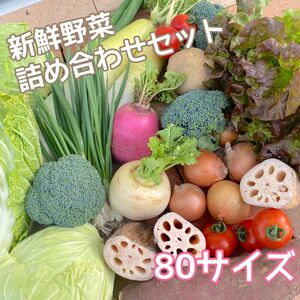 【新鮮！美味しい！】季節の採れたて野菜 詰め合わせセット 80サイズ