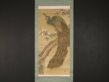 【模写】【伝来】sh4735 双孔雀図 在印 中国画_画像1