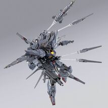 新品★魂ウェブ商店 METAL BUILD プロヴィデンスガンダム メタルビルド ガンダムSEED プレミアムバンダイ メタルロボット魂 ガンプラ MG HG_画像6