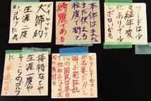 物価高の今は割切も!使い捨てもOK?ツアステ)惜別!宮里藍プロに感謝!BSとの相思相愛14年!生涯8度プレー嫌々渋々の付合ゴルフ携行にも最適か?_画像2