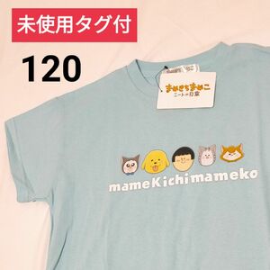 未使用タグ付　まめきちまめこ　ニートの日常　半袖Tシャツ【120】子供服　夏服