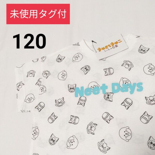 未使用タグ付 まめきちまめこ ニートの日常 半袖Tシャツ【120】子供服 夏服