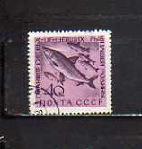 192097 ソ連 1960年 魚シリーズ 40k コクチマス 使用済