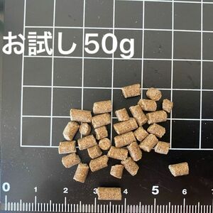 お試し　肉食魚用フード50g