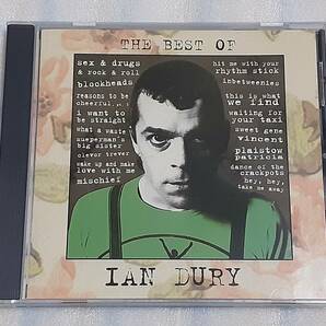 IAN DURY/THE BEST OF 輸入盤CD UK PUB ROCK POP PUNK 95年作 BLOCKHEADSの画像1