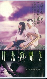 H00019078/VHSビデオ/草野慶太「月光の囁き」