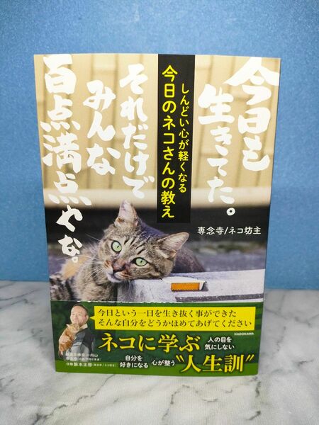 しんどい心が軽くなる 今日のネコさんの教え