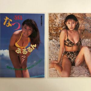 『雑誌グラビア ラミネート加工』Y-1961 寺島なつ(現役女子高生・ぷるるん93cmバスト)B5 2枚4ページ 特冊新鮮組 平成9年12月20日号※15