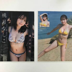 『雑誌グラビアラミネート加工』Y-2019 桃月なしこ(様々なメディアで大活躍中・綺麗な瞳・巨乳)B5 4枚7Pヤングマガジン2024年1月1日号※15