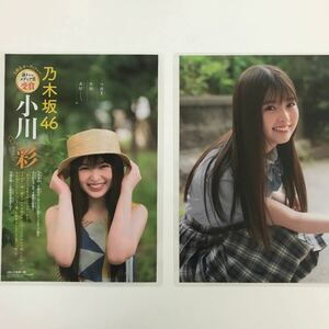 『雑誌グラビアラミネート加工』Y-2062 小川彩(まだ16歳・超人気アイドルの中心人物・5期生)B5 4枚8P少年チャンピオン2023年7月13日号※15