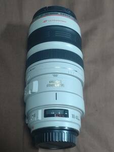 Canon EF 100-400mm F4.5-5.6 L IS