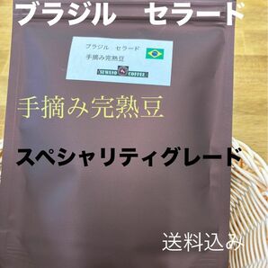 ブラジルセラード　手摘み完熟豆　セミウォッシュド　200g