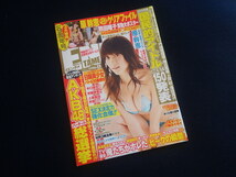 『エンタメ ENTAME 2010年6月号 VOL.108』原幹恵クリアファイル付 熊田曜子ポスター付 AKB48_画像1