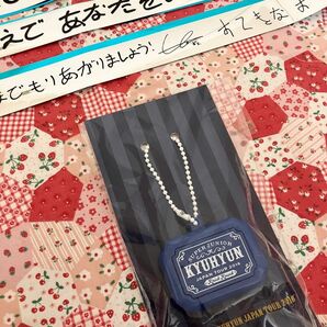 SUPER JUNIOR JAPAN TOUR 2016 Knick Knack キュヒョン ボイスキーホルダー 銀テープ SJ