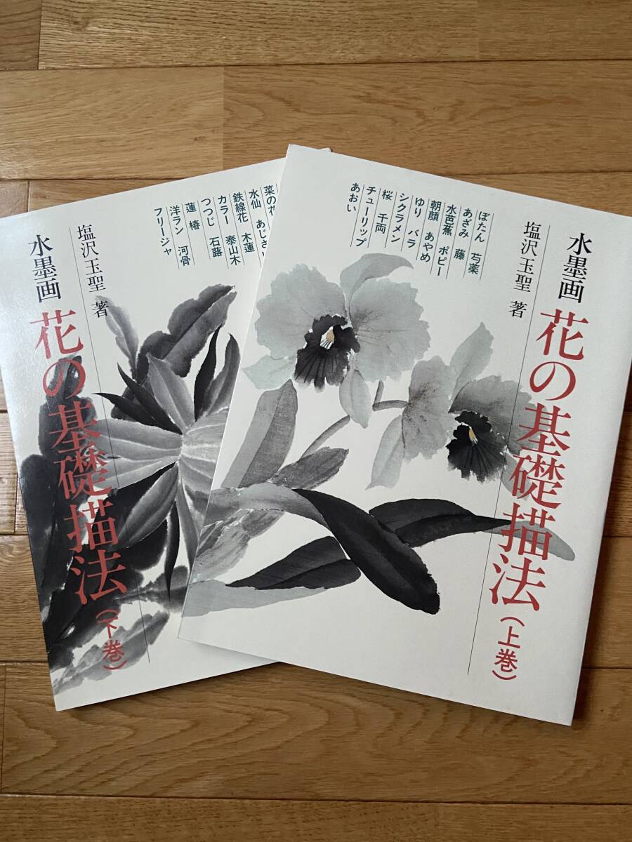 水墨画：花卉基础画法, 第 1 卷和第 2 卷 / Gyokusei Shiozawa / Nitto Publishing, 艺术, 娱乐, 绘画, 技术书