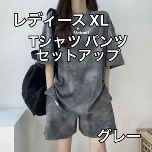 レディース XL セットアップ Tシャツ 半袖 パンツ グレー ビック 春 夏