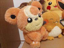 ポケットモンスター ぬいぐるみ まとめ売り ポケモン 8点セット ピカチュウ イーブイ プラスル ブースター ヒメグマ チコリータ デンリュウ_画像2