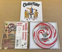 送料無料☆WANIMA『Cheddar Flavor』CD☆ステッカー付☆帯付美品☆アルバム☆335_画像2