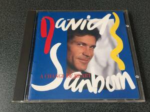 ★☆【CD】A Change Of Heart / デヴィッド・サンボーン David Sanborn☆★