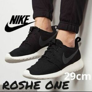 NIKE ROSHE ONE 29cm