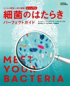 とことん解説人体と健康　ビジュアル　細菌のはたらきパーフェクトガイド ＮＡＴＩＯＮＡＬ　ＧＥＯＧＲＡＰＨＩＣ／キャサリン・ウイット