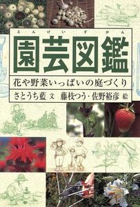 園芸図鑑 花や野菜いっぱいの庭づくり／さとうち藍(著者),藤枝つう,佐野裕彦