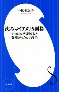 沈みゆくアメリカ覇権 止まらぬ格差拡大と分断がもたらす政治 小学館新書／中林美恵子(著者)