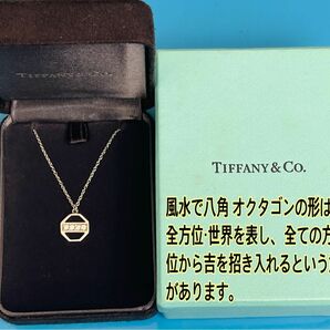 ティファニー ホワイトゴールド ダイヤ ネックレス 美品 TIFFANY パロマピカソ　ダイヤモンド