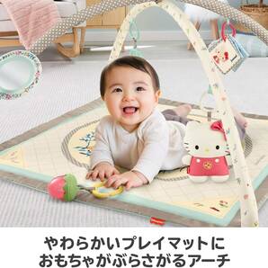 新品未使用・送料無料 フィッシャープライス fisher price サンリオベビー ミュージカル・デラックスジム 0カ月から 知育玩具 GXC10の画像4