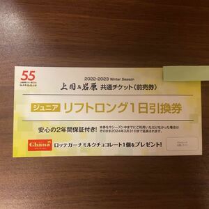 上越国際&岩原スキー場 ジュニアスキー券