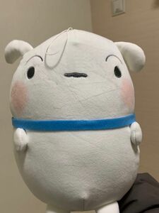 シロ　クレヨンしんちゃん　ぬいぐるみ　プライズ品