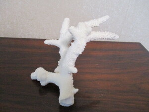 * white ..*. tree natural objet d'art ornament Vintage interior white coral 