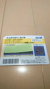 ANA優待券_2枚セット_期限：2024年11月末日_D