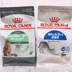  cat ..... Royal kana n cat health . furthermore .. maintenance .. cat India a cat food .. cat 