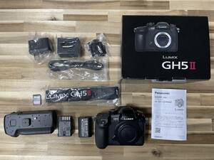 中古　LUMIX DC-GH5M2 ボディ　【追加物】純正縦位置（バッテリー）グリップ、電池1個追加、SDカード128GB