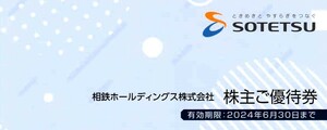 相鉄ホールディングス 株主優待券 冊子 未使用１冊 相鉄ローゼンなど 有効期限：2024/6/30まで