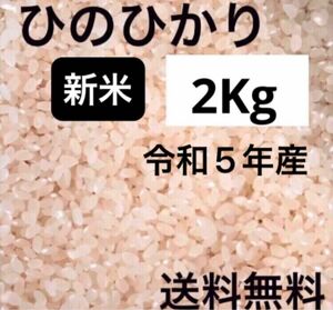 新米　ひのひかり 2kg 令和5年産　白米 保冷庫保存