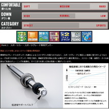 タナベGTファントライド車高調 Z33フェアレディZ ベースグレード 02/8～08/11_画像3