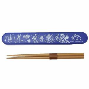 ディズニーキャラクター 箸 箸箱セット お弁当用カトラリー D100ミュージカルワンダー